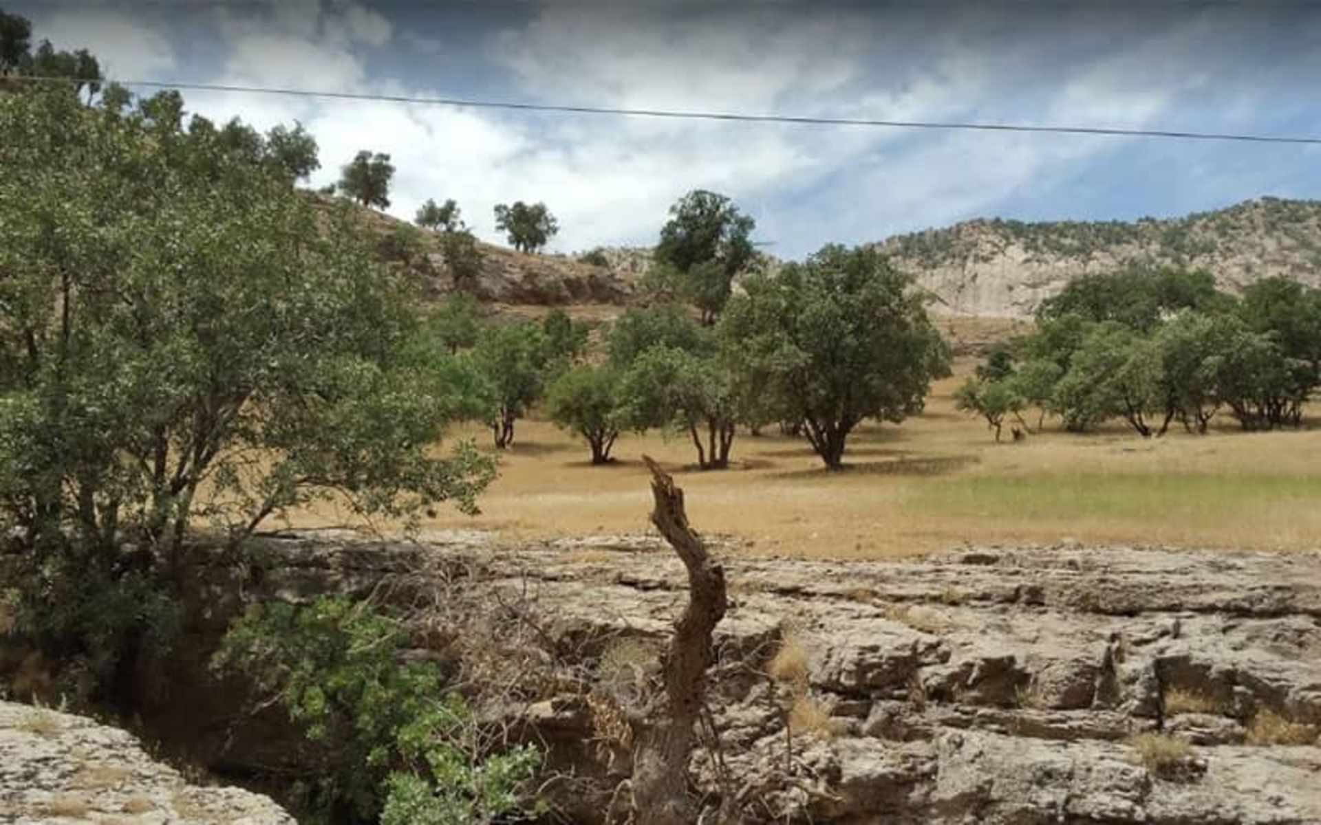 تنگه رازیانه