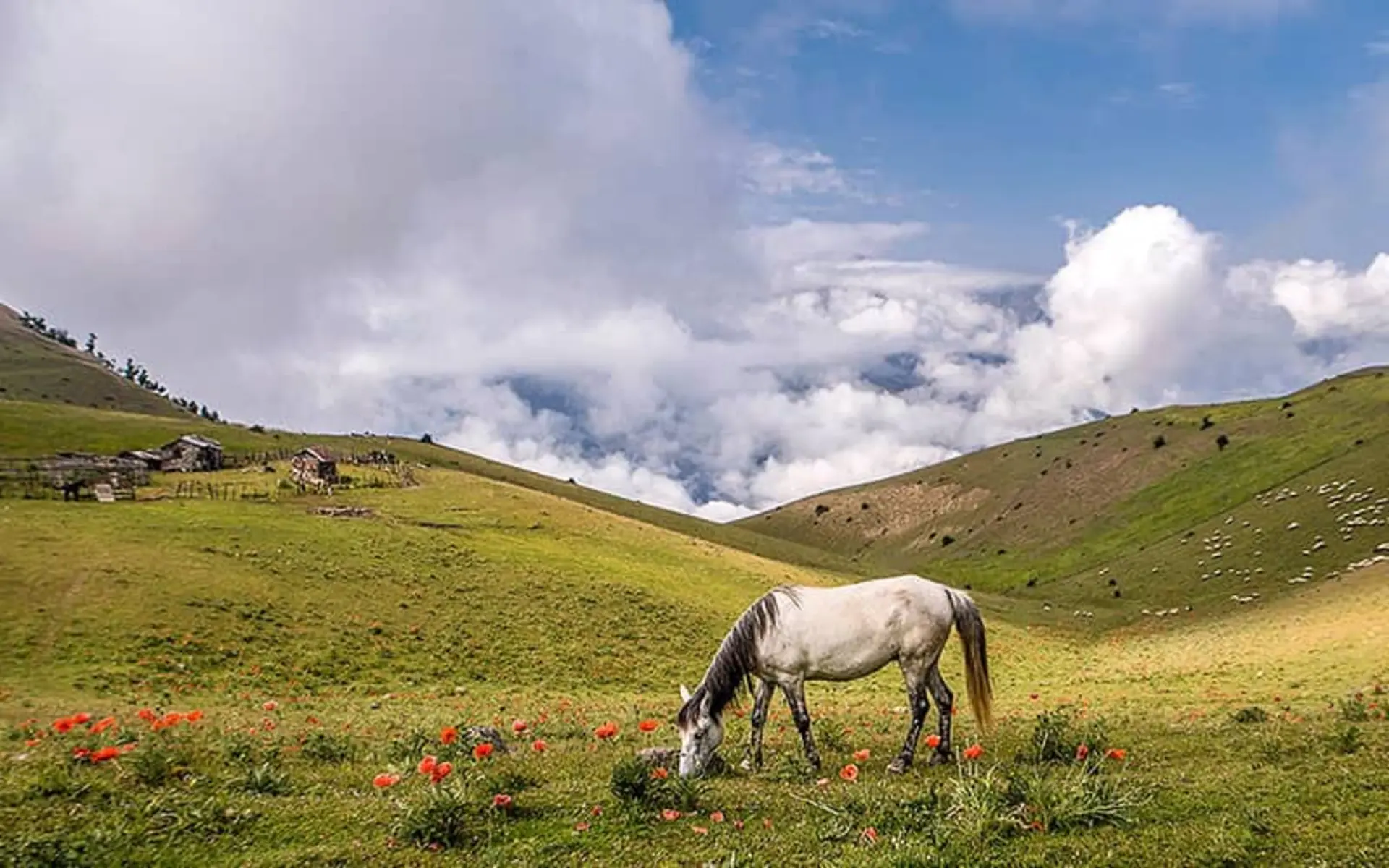 سفر به ییلاق سوباتان