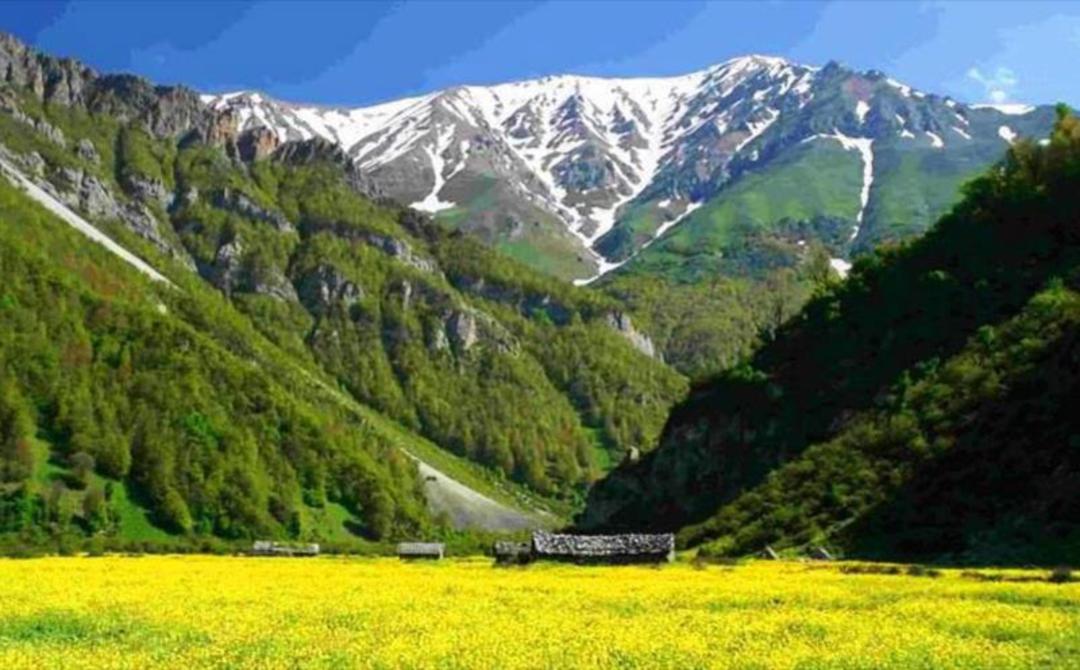 دشت دریاسر