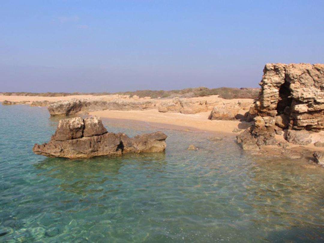 جزیره چراغی