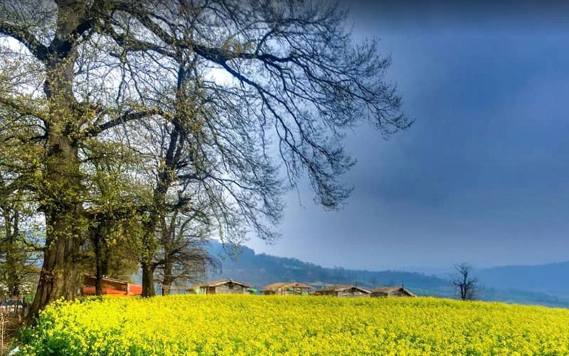 بهترین زمان سفر به نکا
