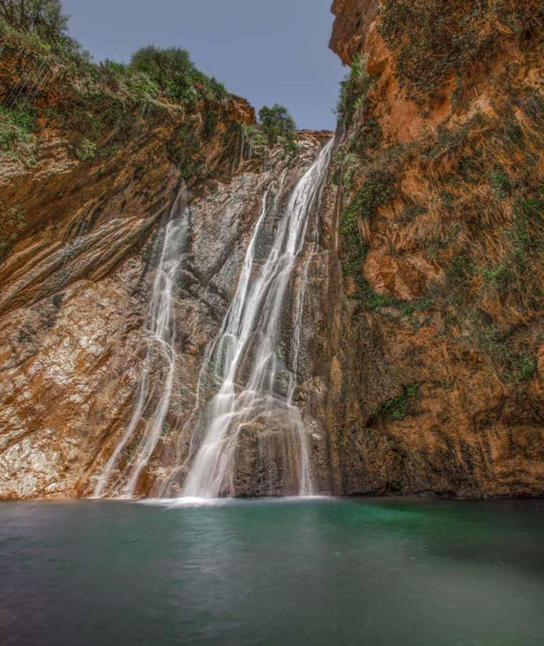 معنی نوژیان