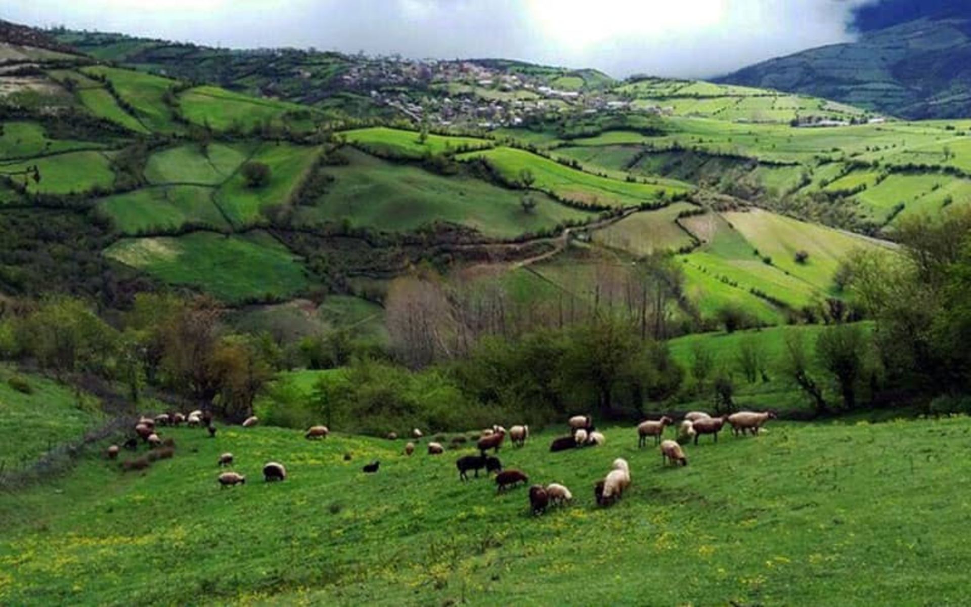 روستای کچپ محله