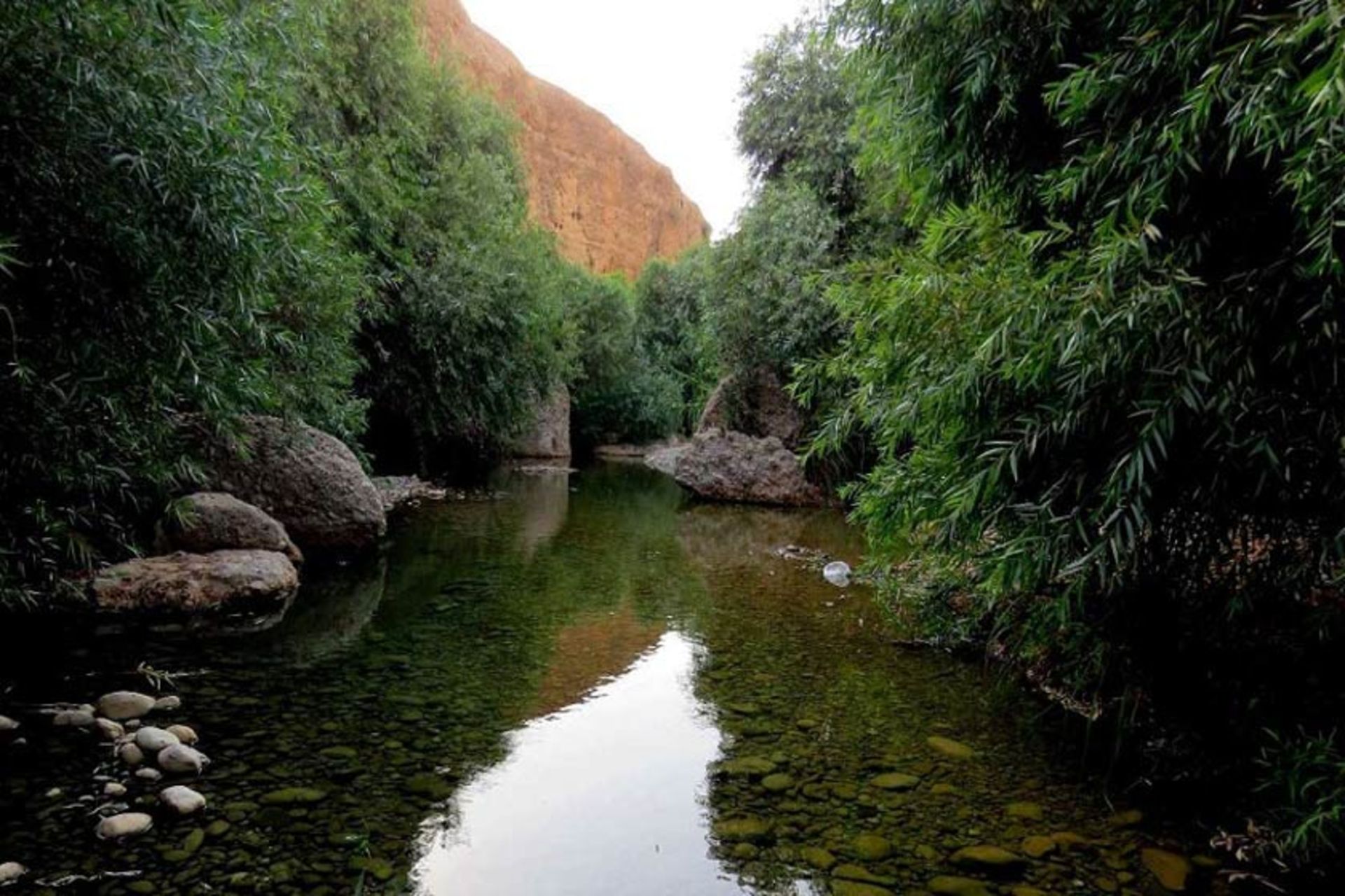 دره انار گتوند