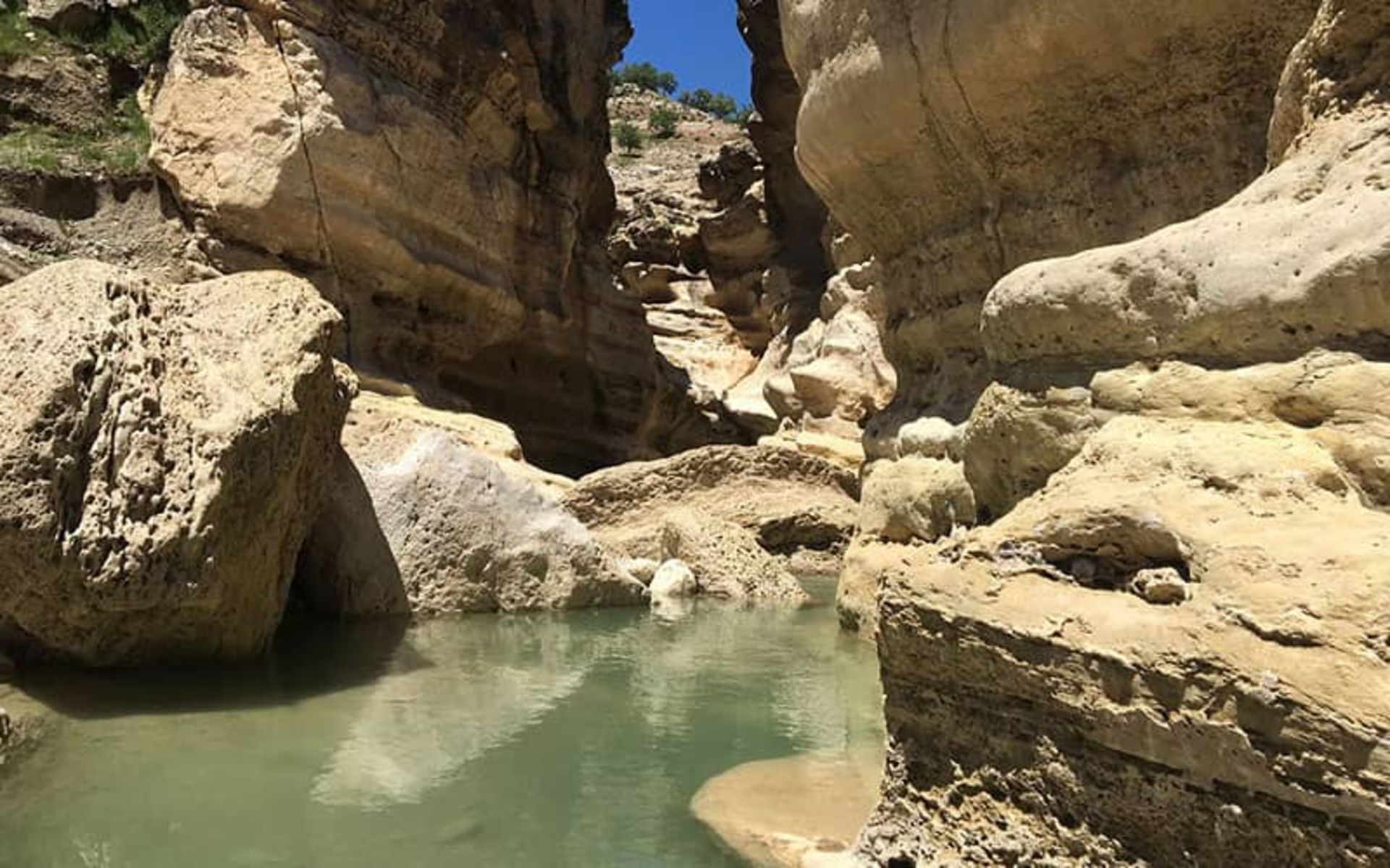 اقامت در تنگه رازیانه