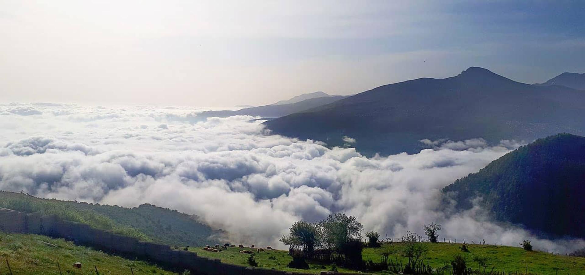  اقیانوس ابری فبلبند