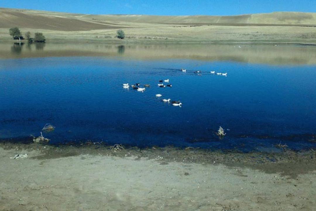 تالاب یانیق