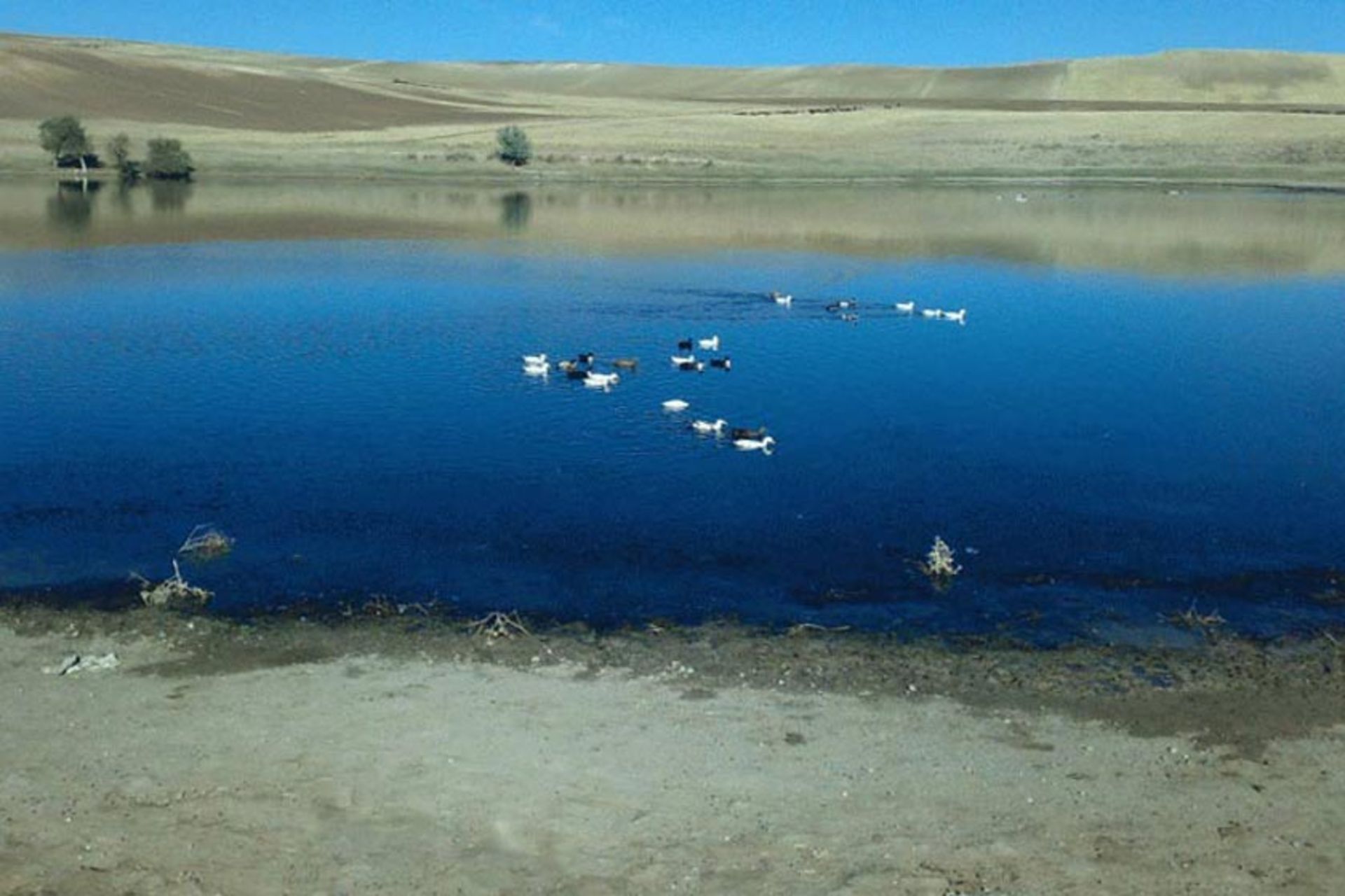 تالاب یانیق