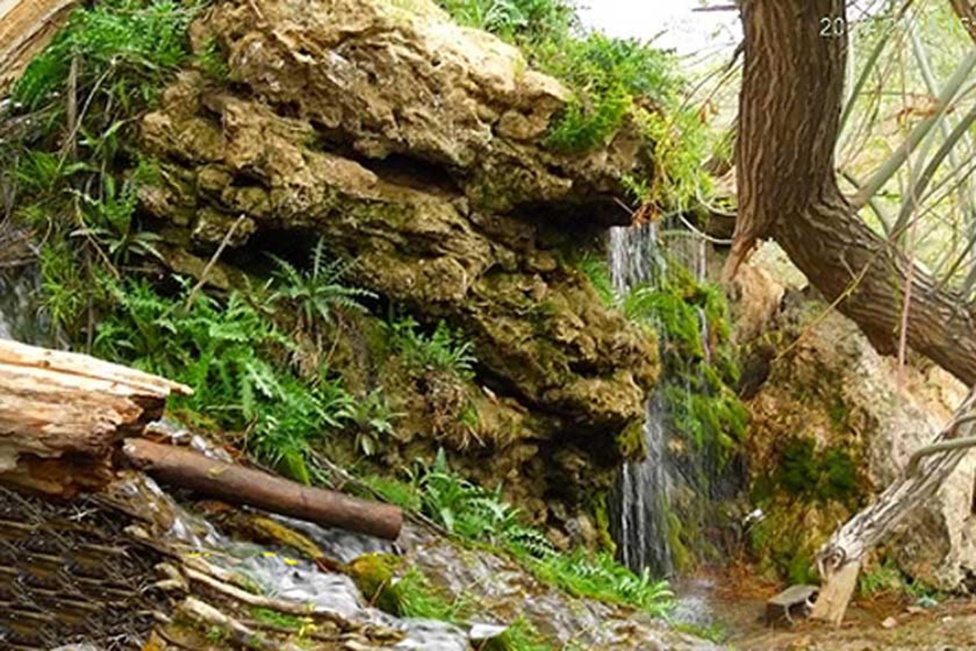 آبشار قطره باران
