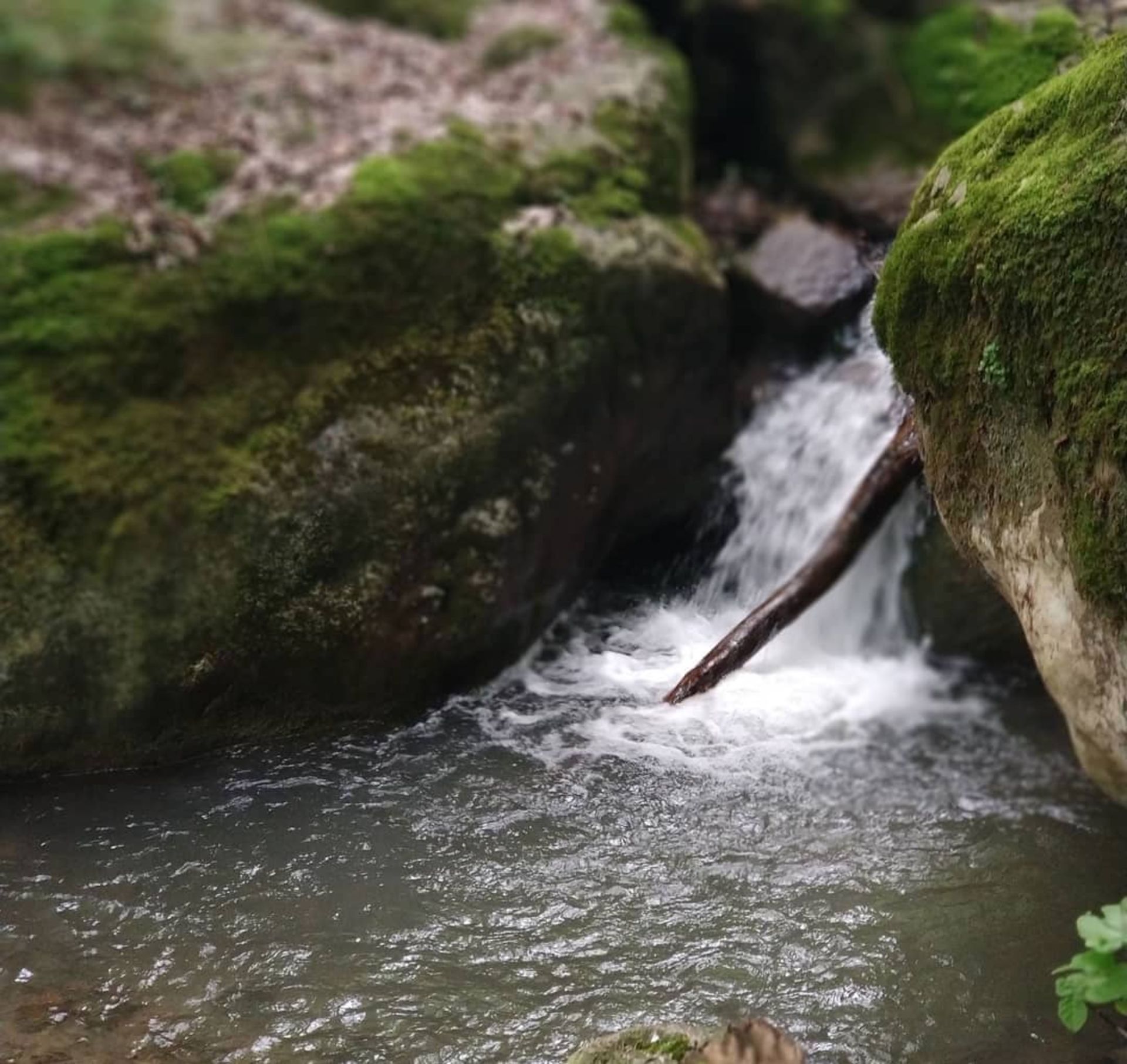 آبشارهای زیبای پشمکی و جوزک