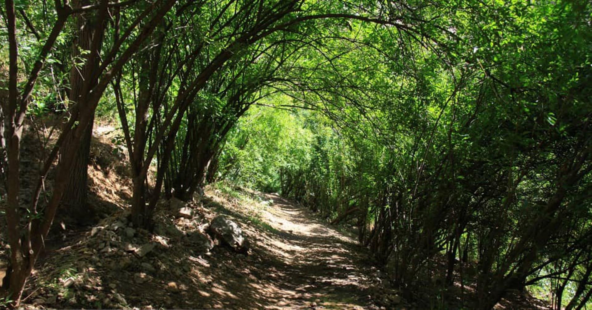 طبیعت زیبا و تماشایی روستای پالنگان