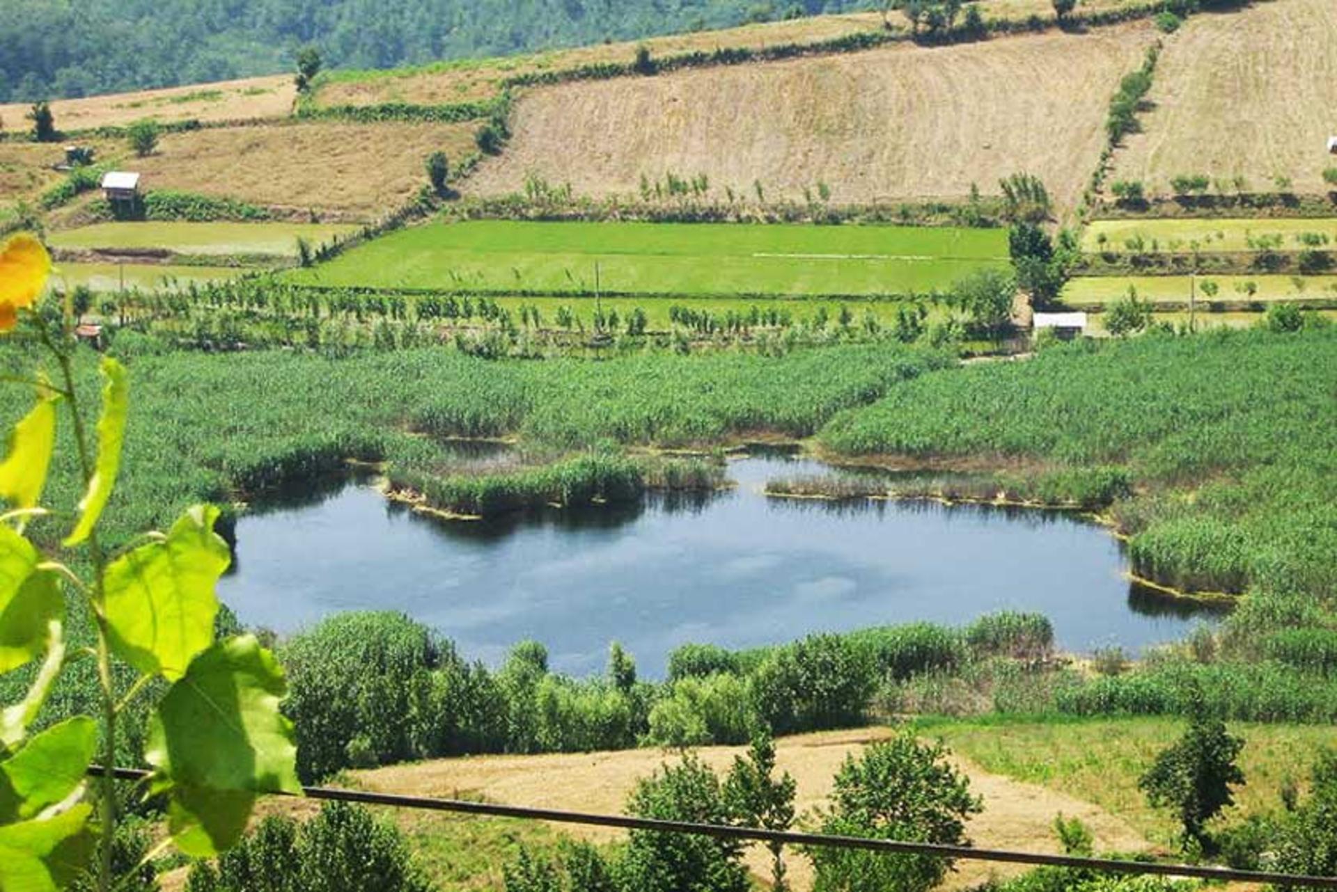 دریاچه طبیعی استخر پشت