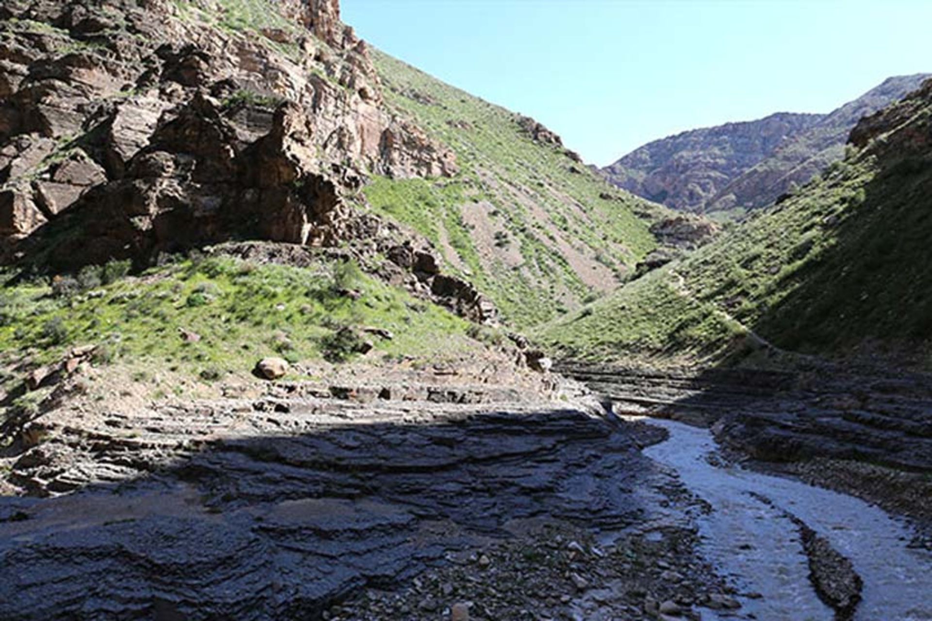 پناهگاه حیات وحش کیامکی