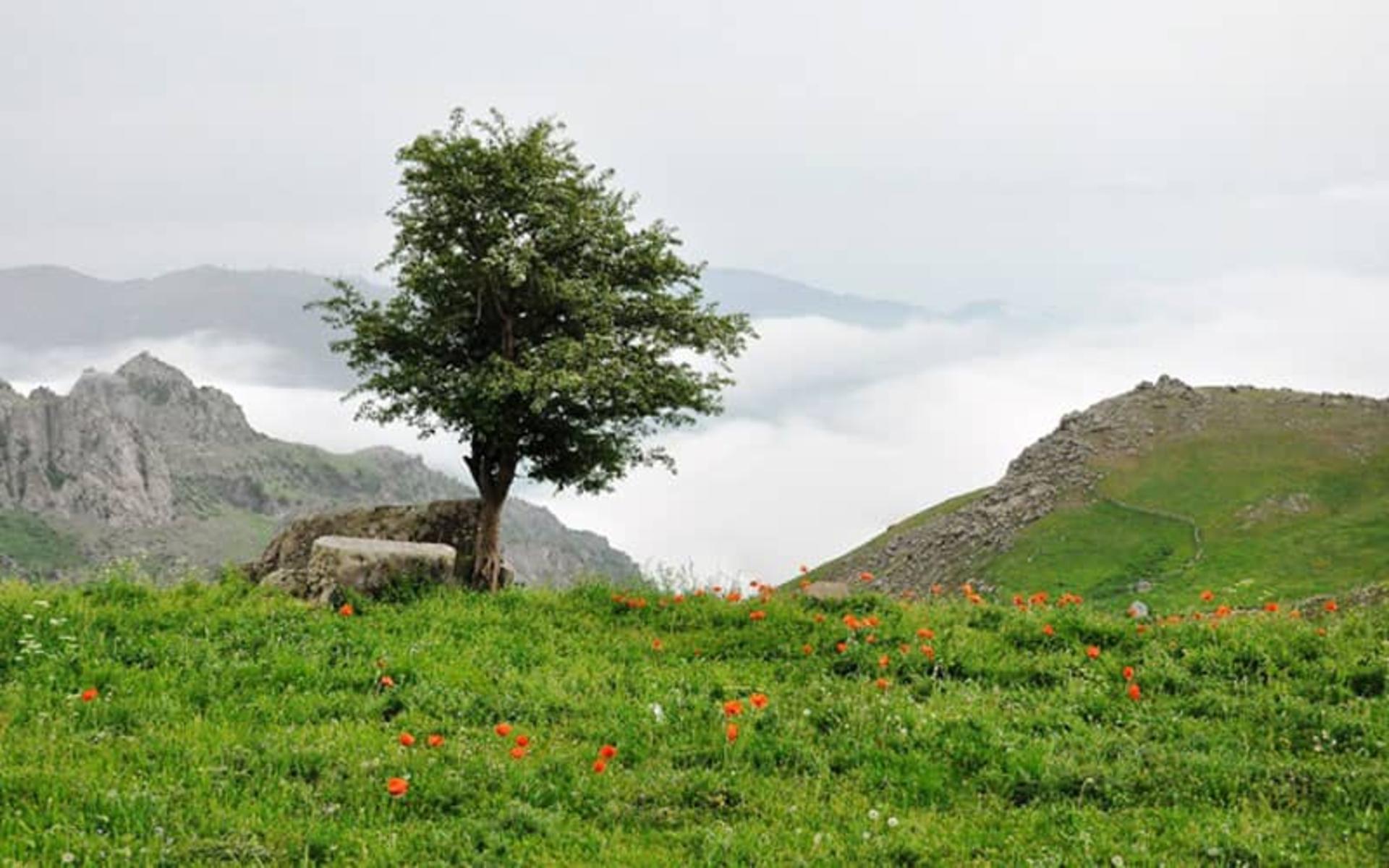 سفر به سوباتان