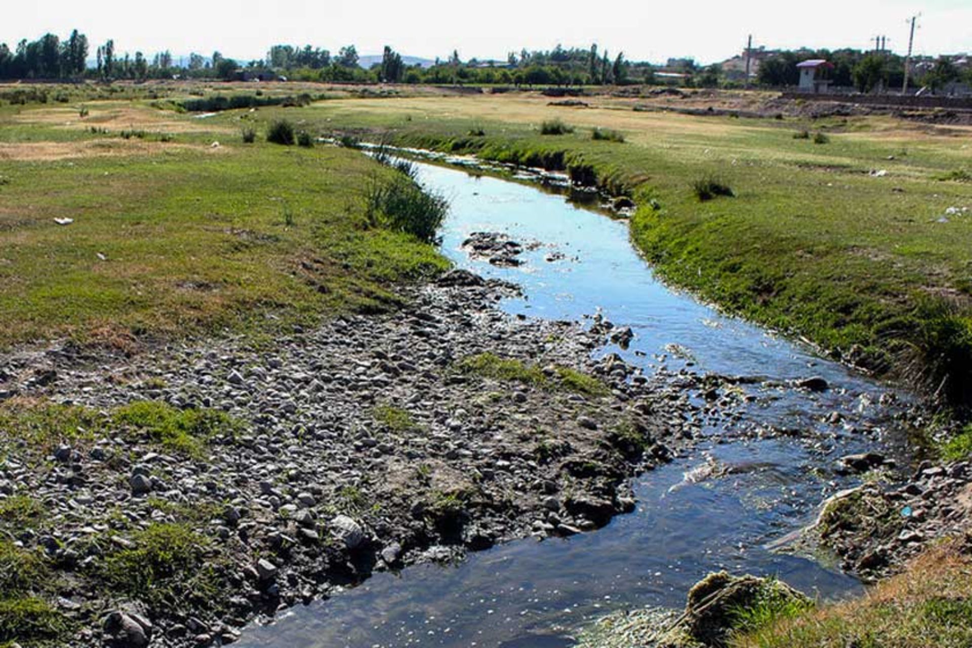اهر چای