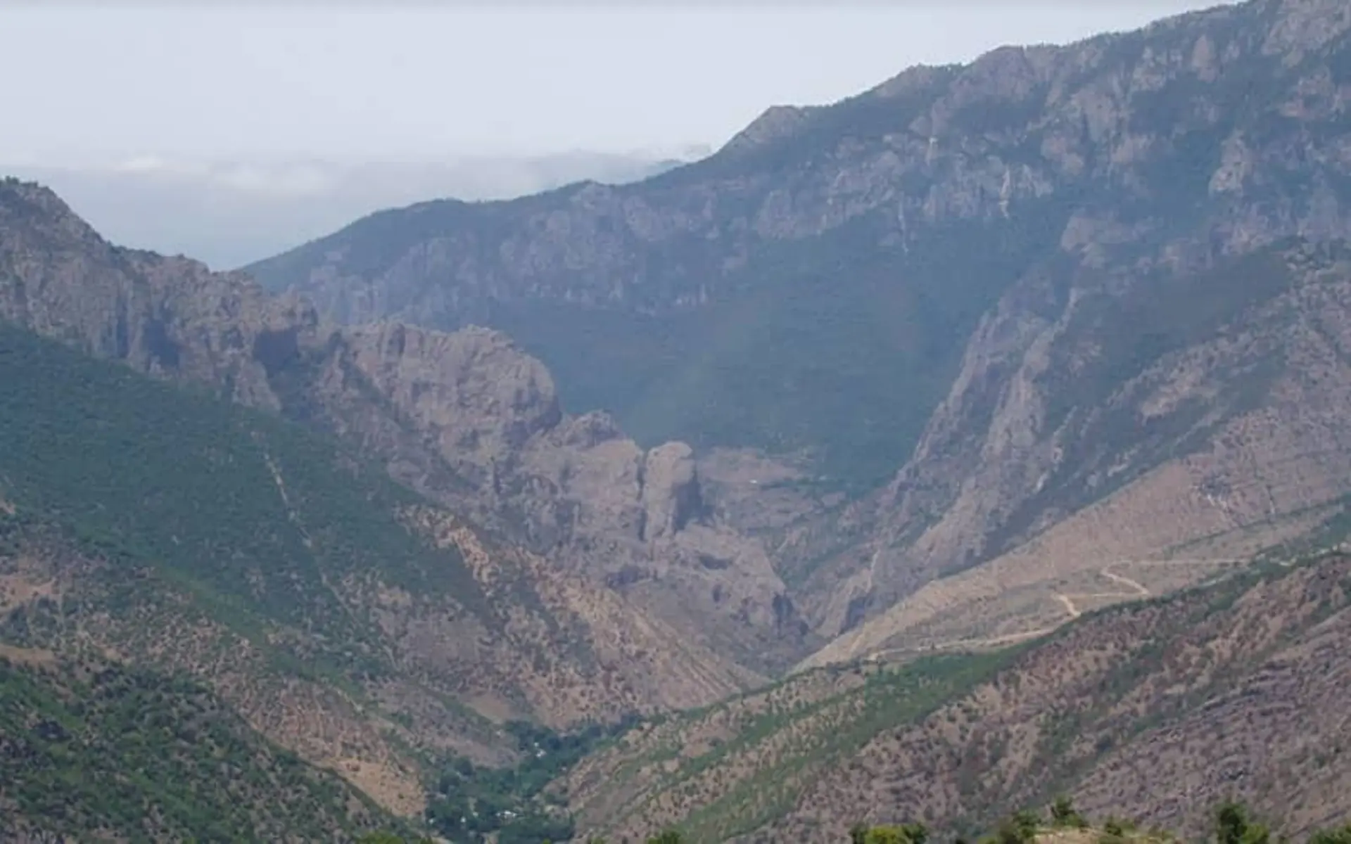 جنگل رودبارک سمنان
