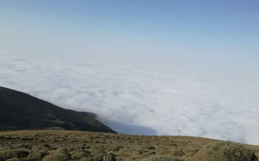 خوشواش آمل