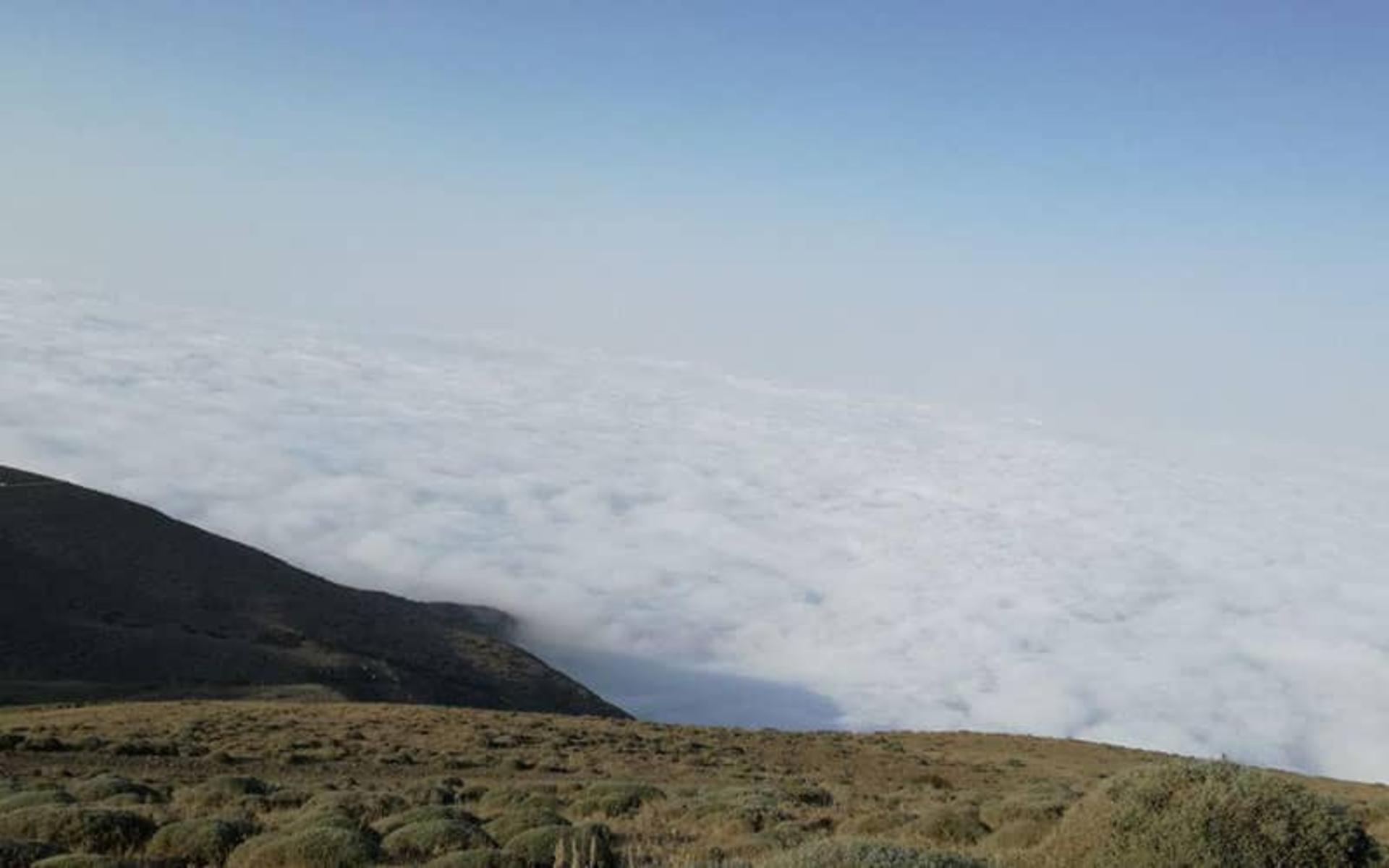 خوشواش آمل