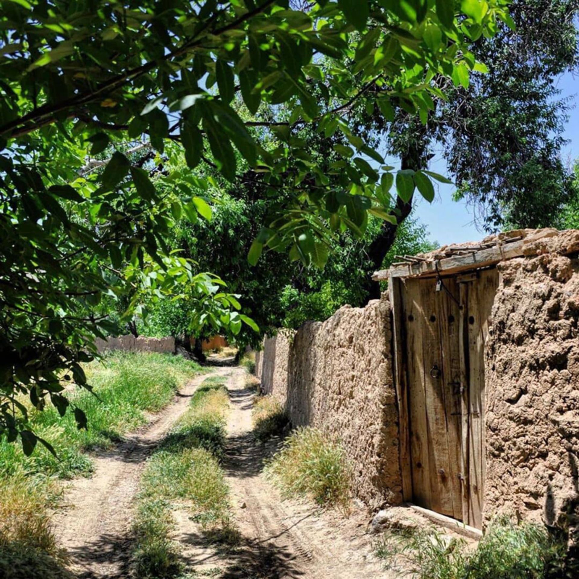 روستای خورهه