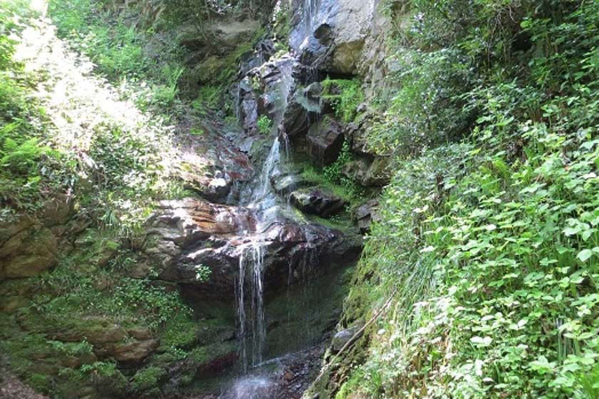 منطقه شورکش