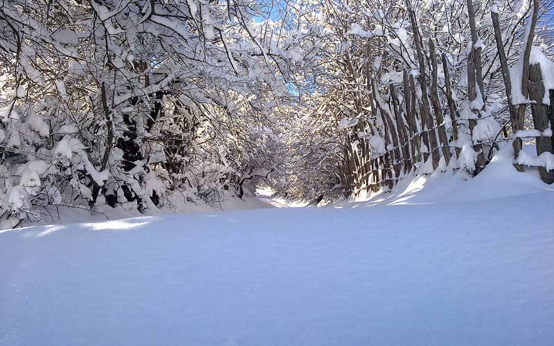 روستای ارم
