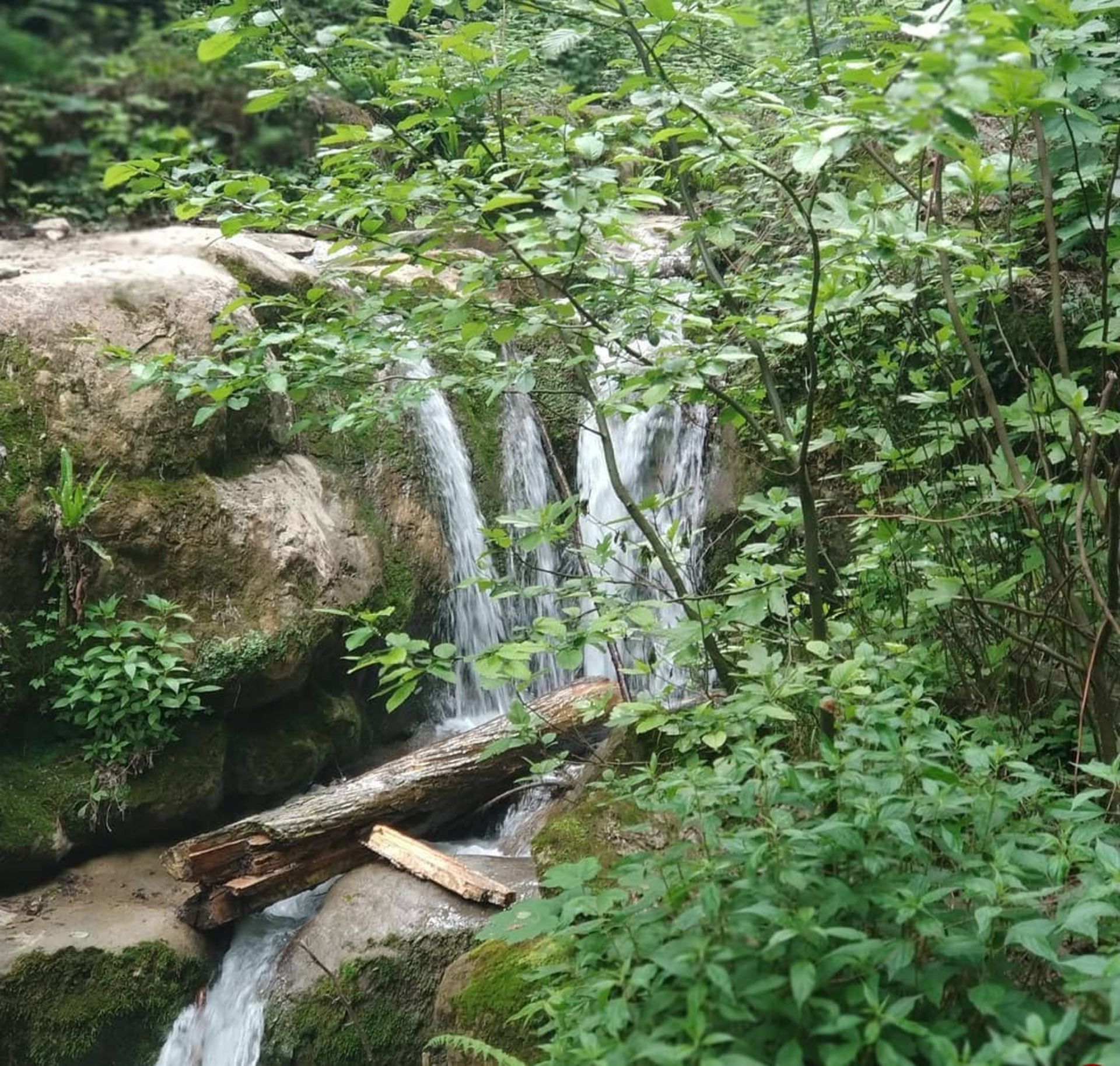آبشارهای زیبای گلستان