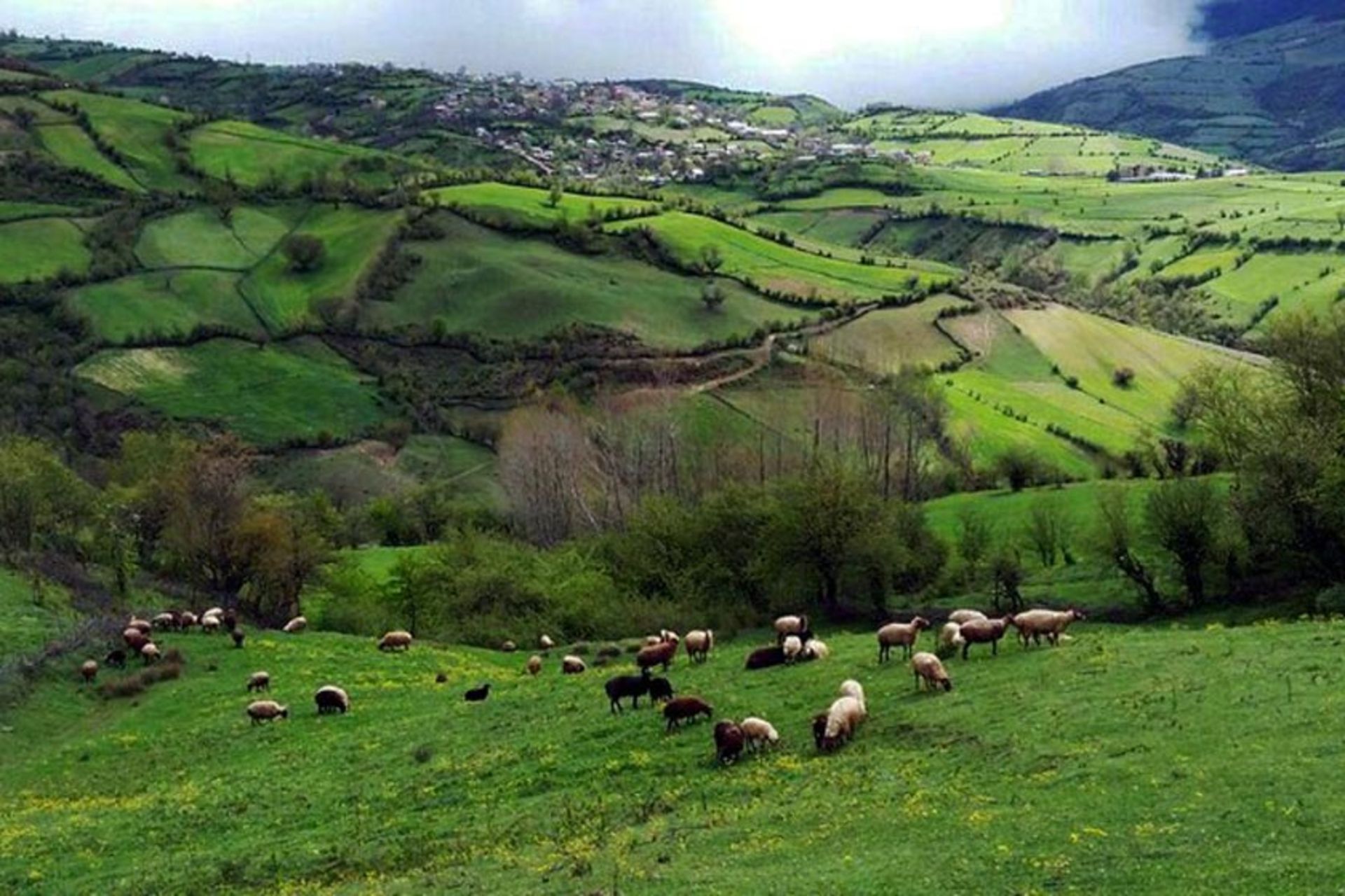 روستای کچپ‌ محله