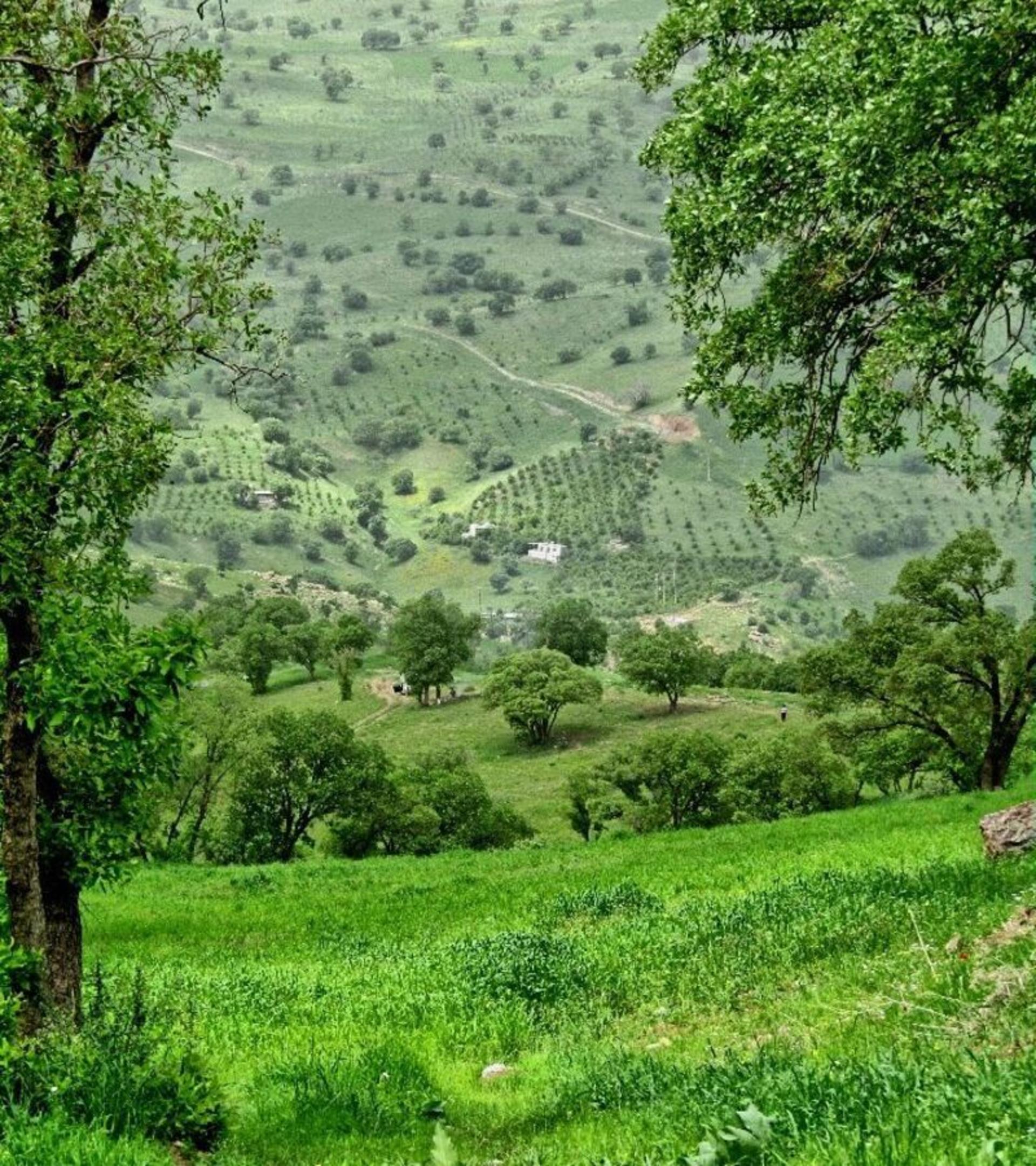 طبیعت زیبا و تماشایی روستای پالنگان