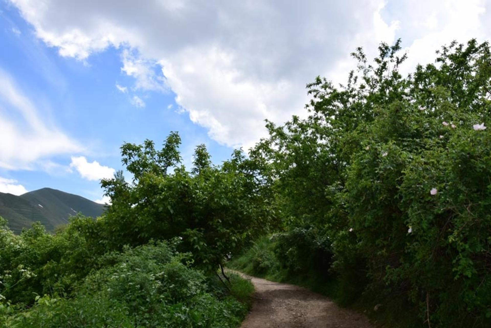 روستای اویندین