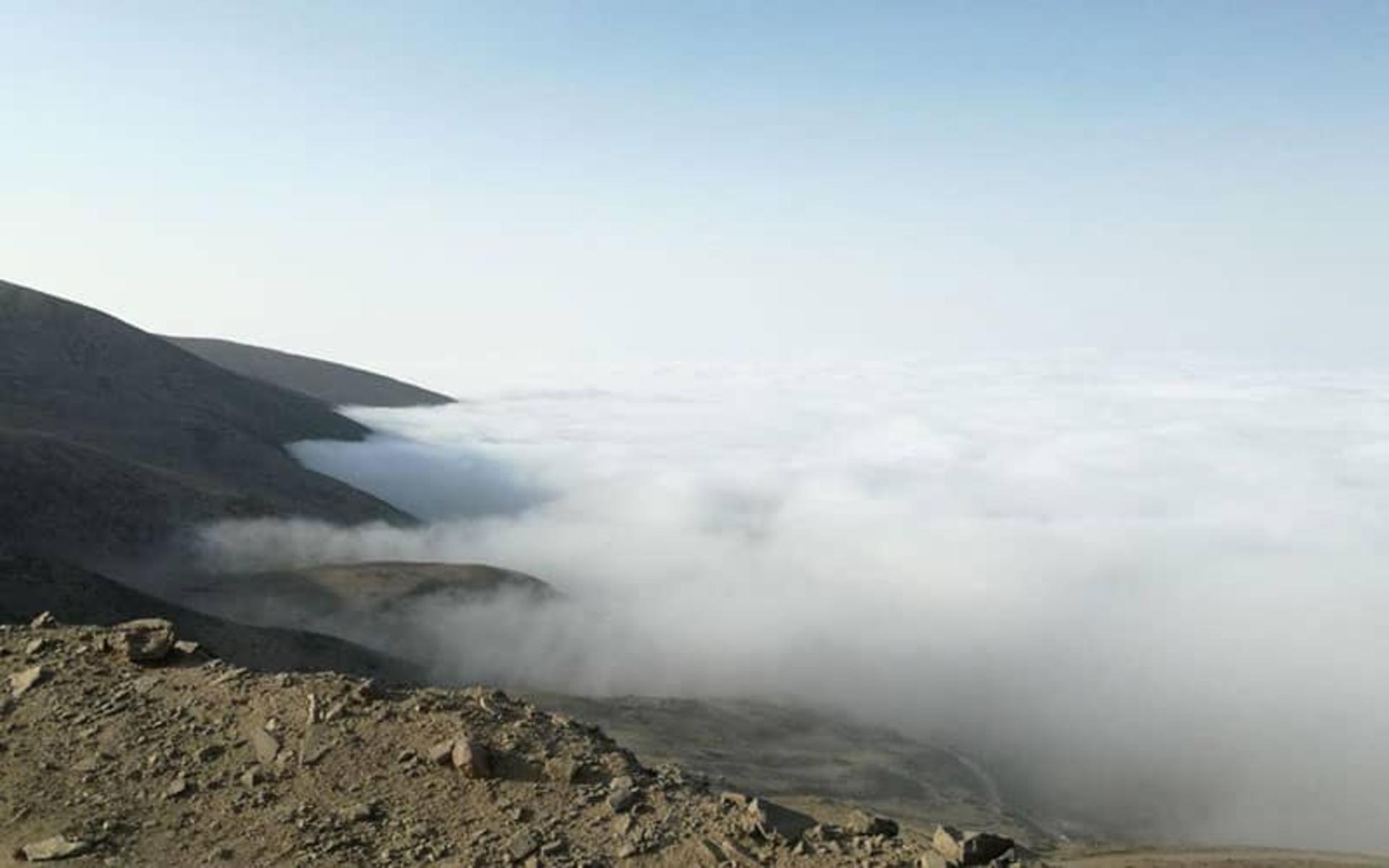 خوشواش