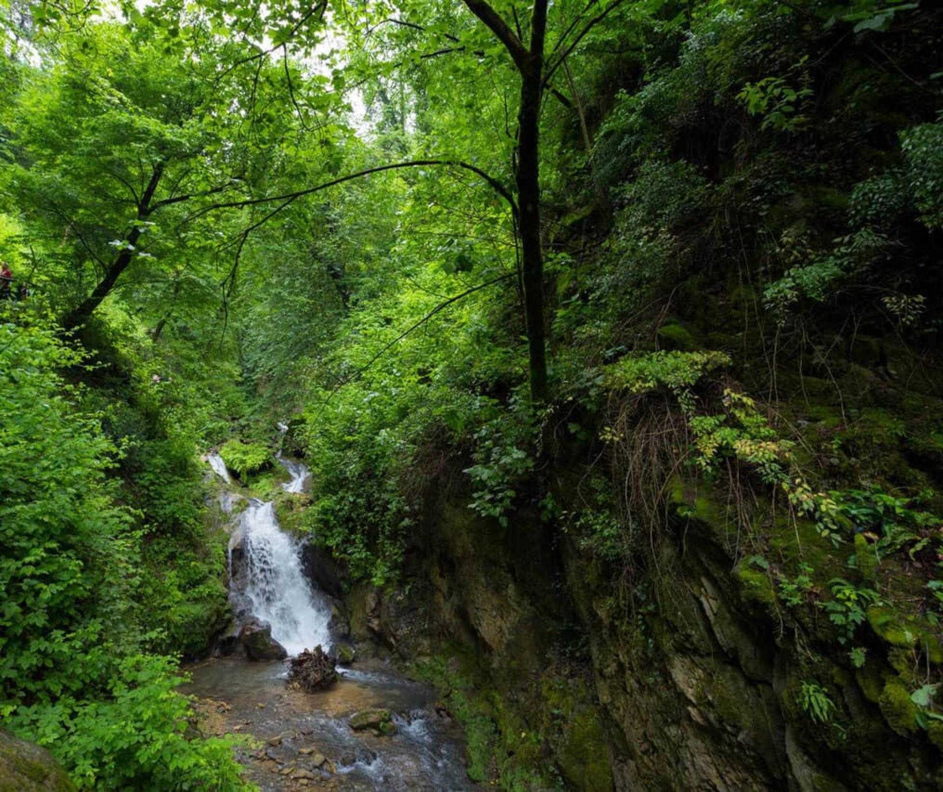 آبشار خزه‌ای کبودوال