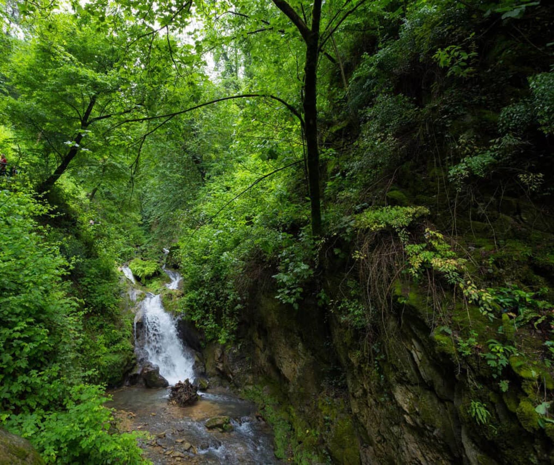 آبشار خزه‌ای کبودوال
