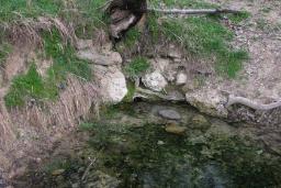 چشمه ایستی بلاغ (چشمه گرم)
