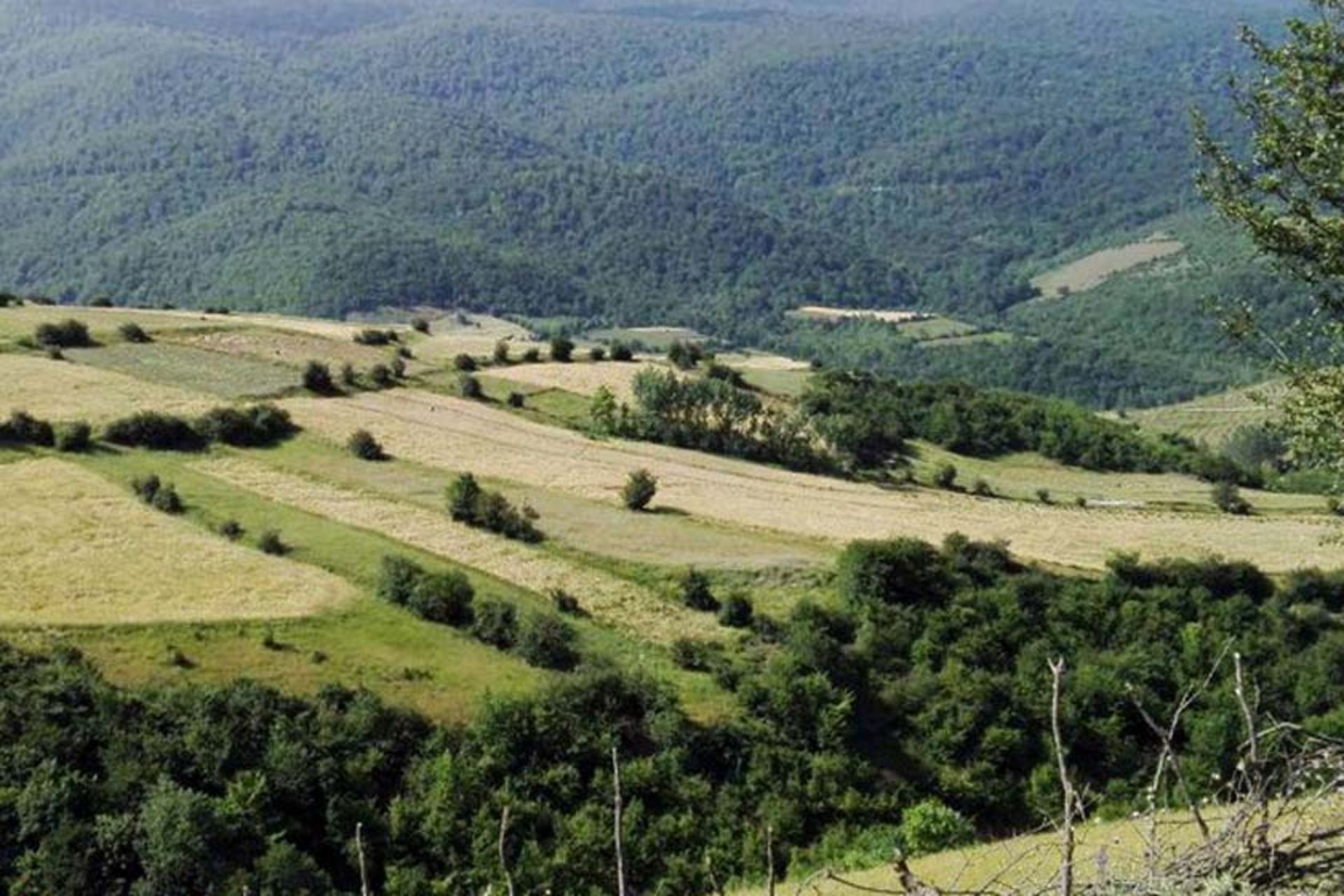 روستای کچپ‌ محله