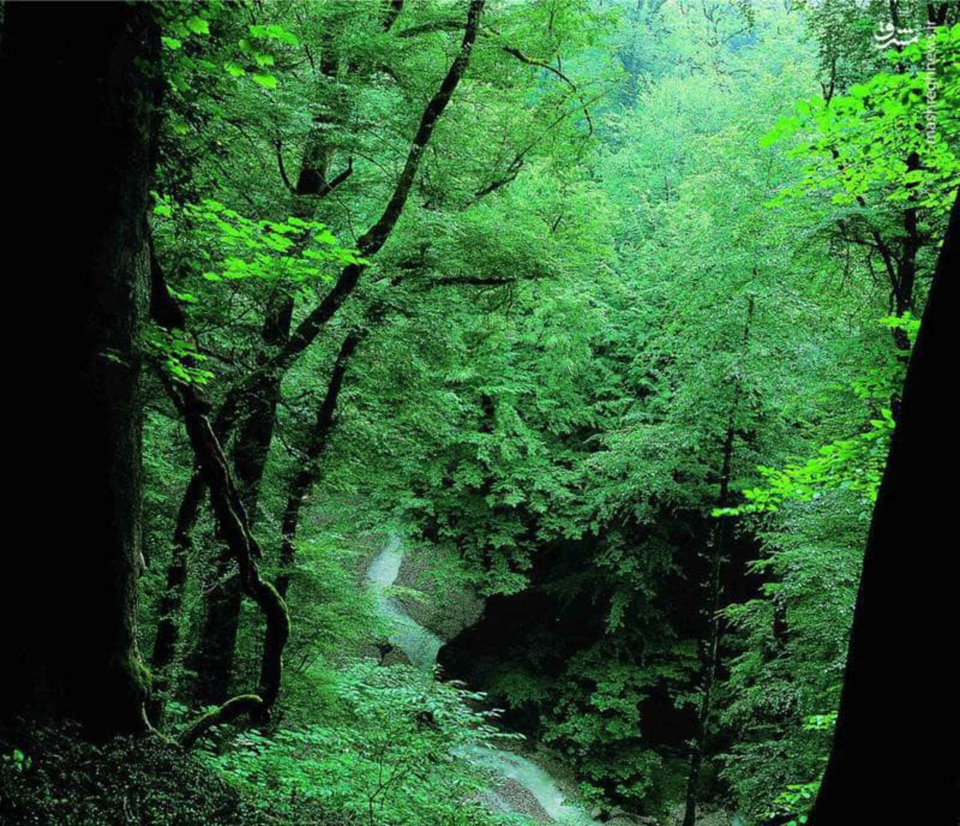آبشار باران کوه