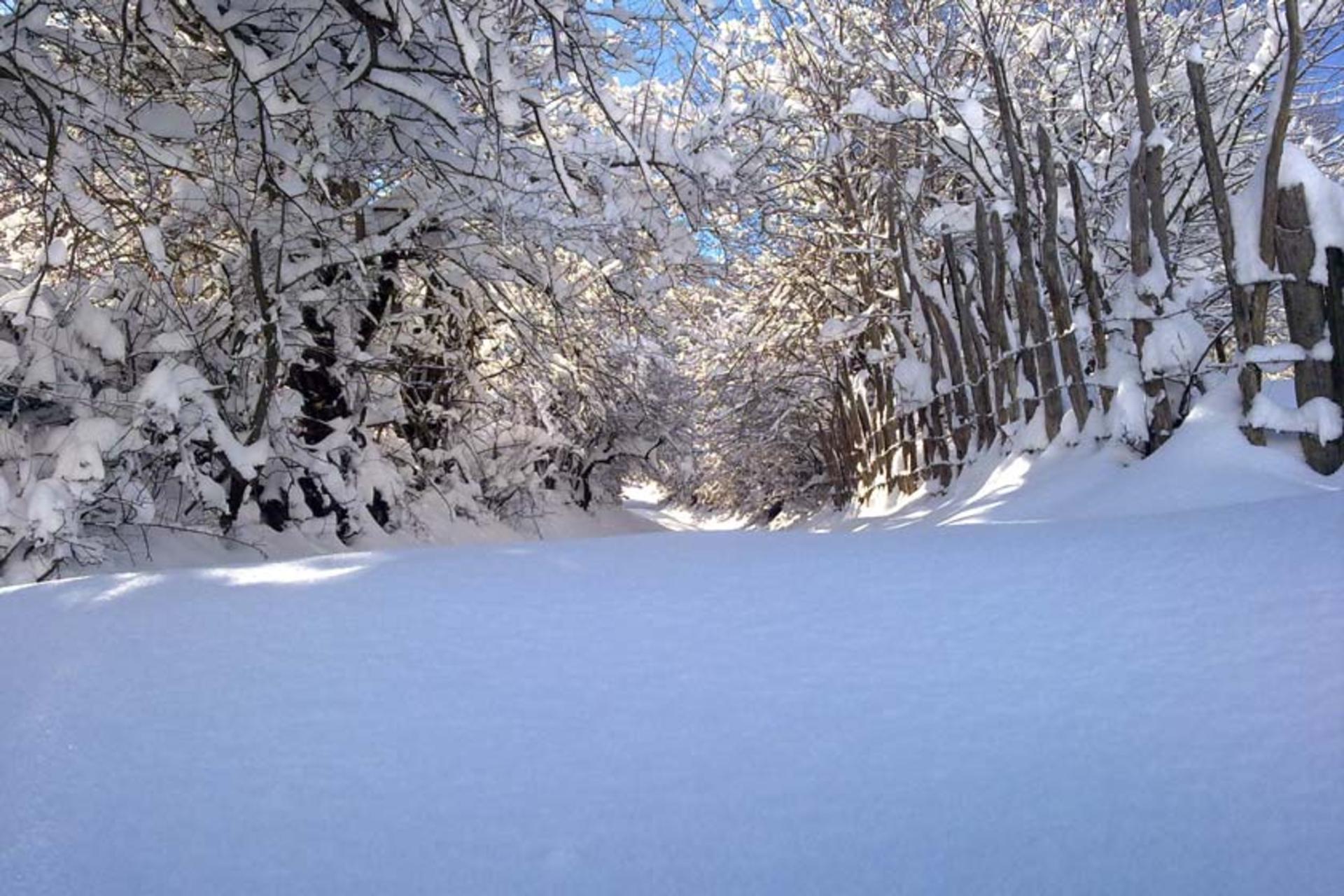 روستای ارم