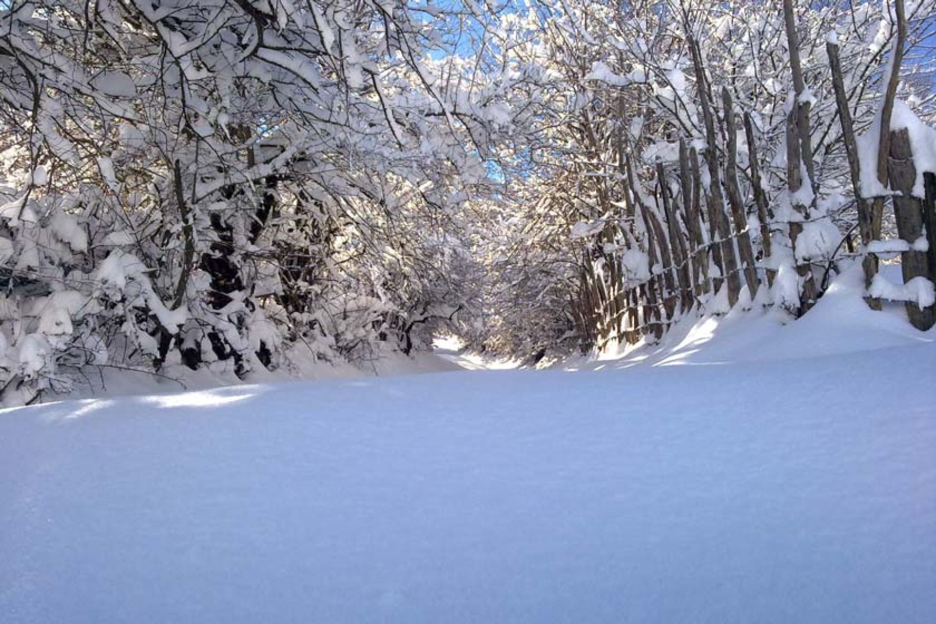 روستای ارم