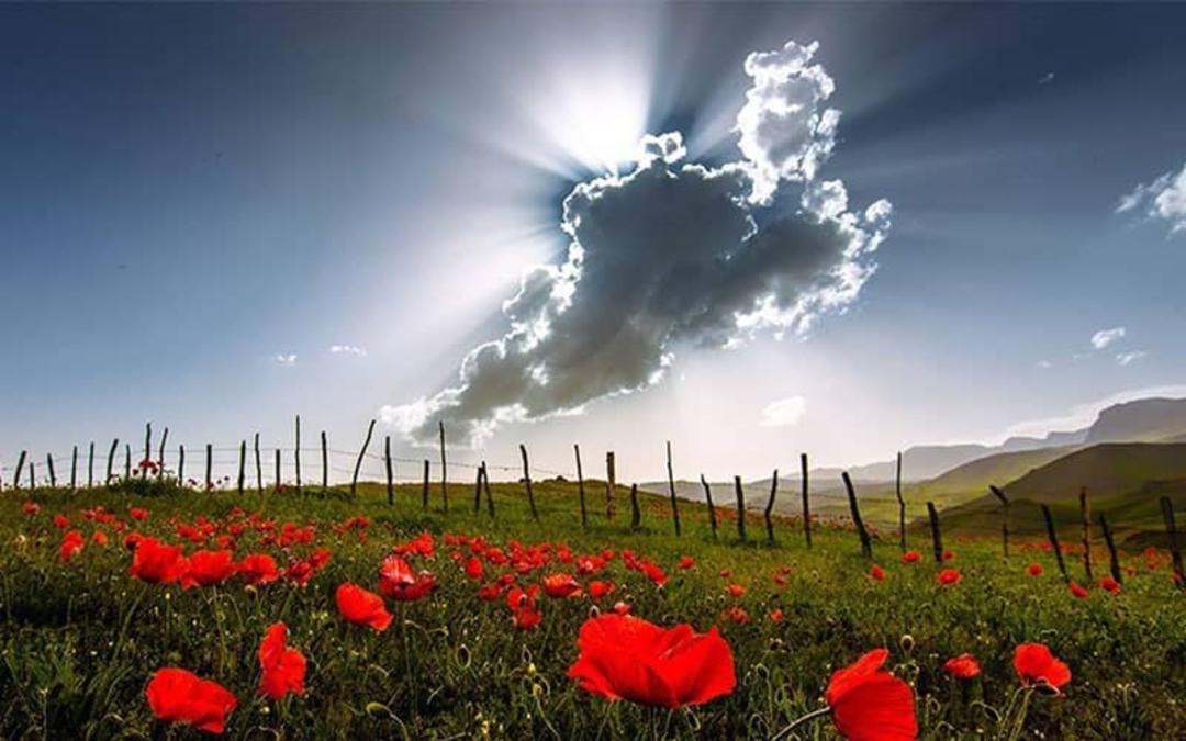 شکردشت کجاست