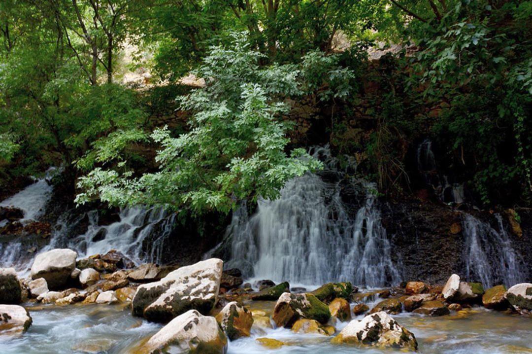 چشمه های پالنگان