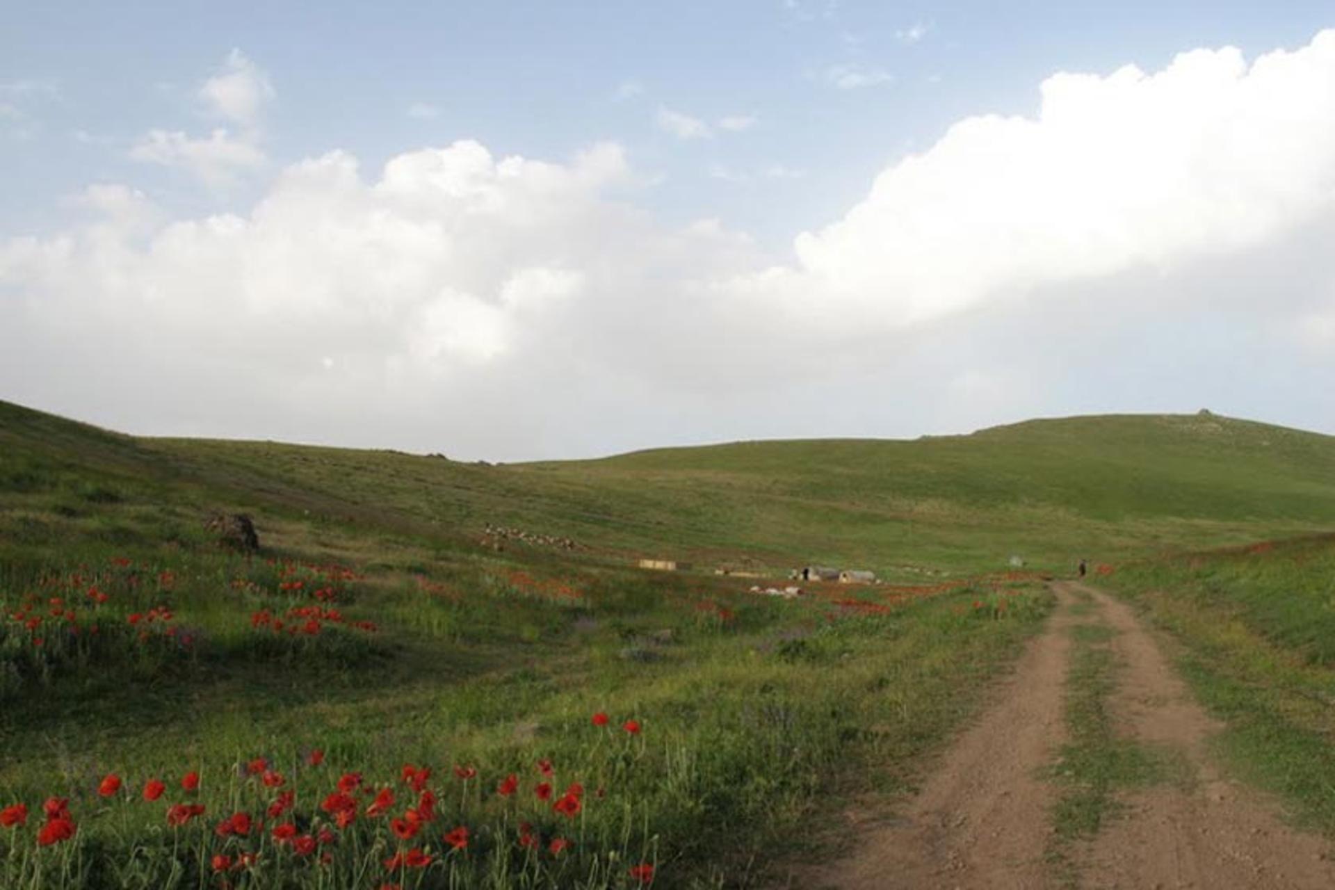 منطقه حفاظت شده یاری قاری