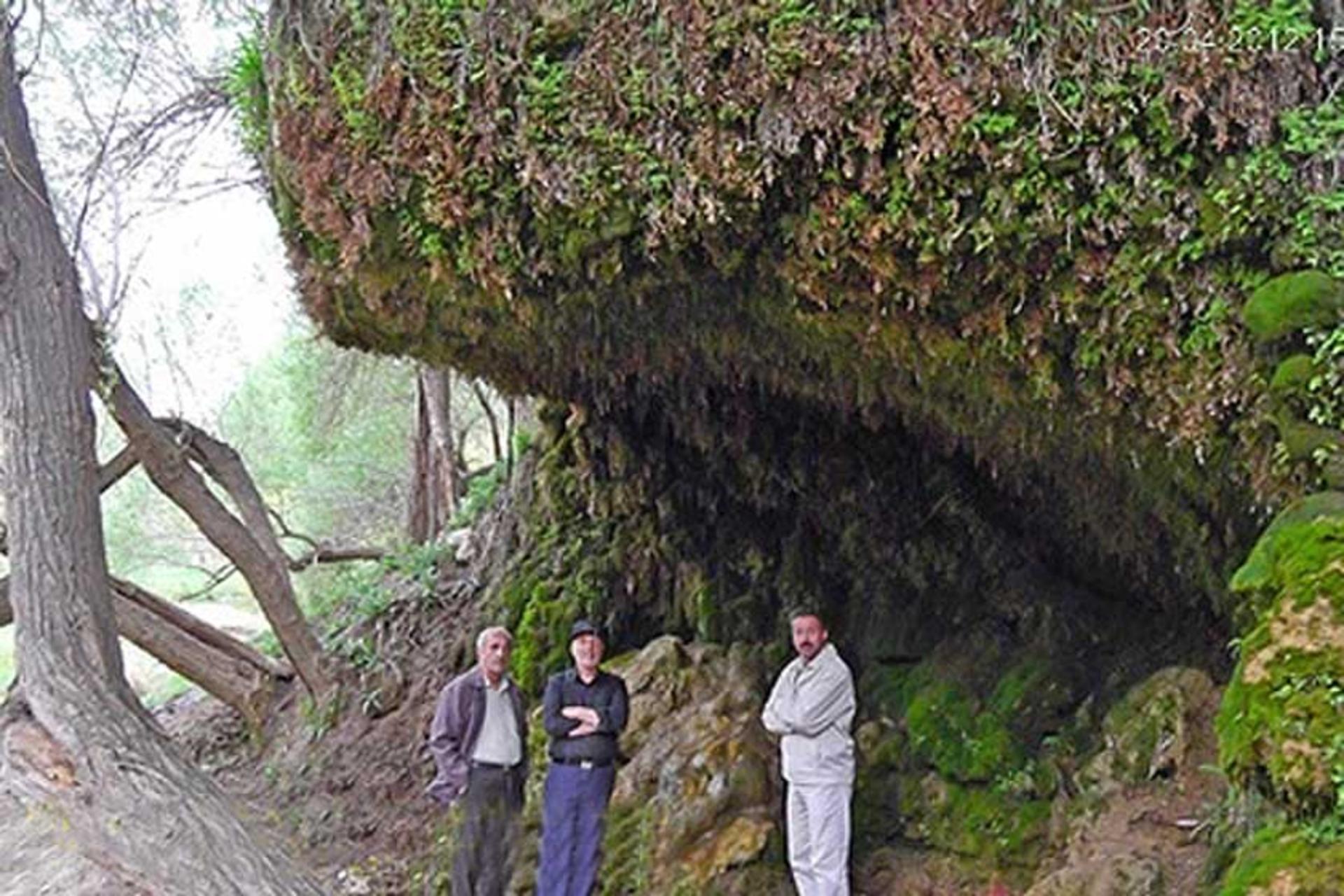 آبشار قطره باران