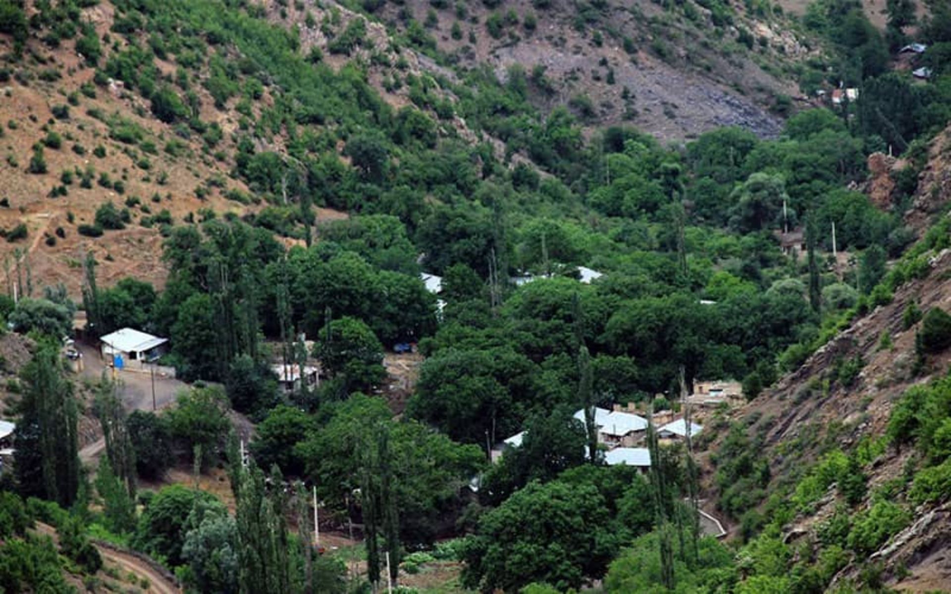 جنگل رودبارک سمنان