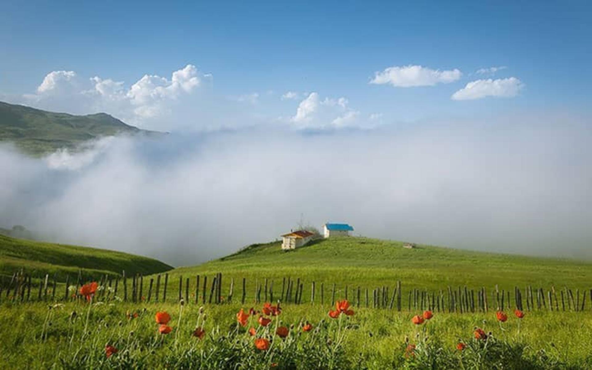 درباره شکردشت تالش