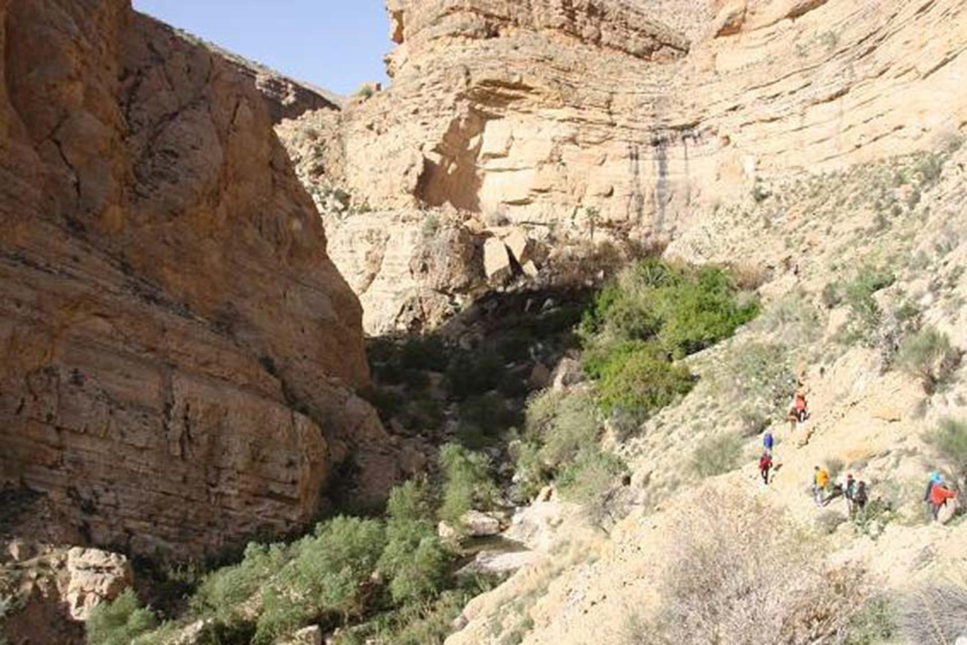 دره آکواریوم