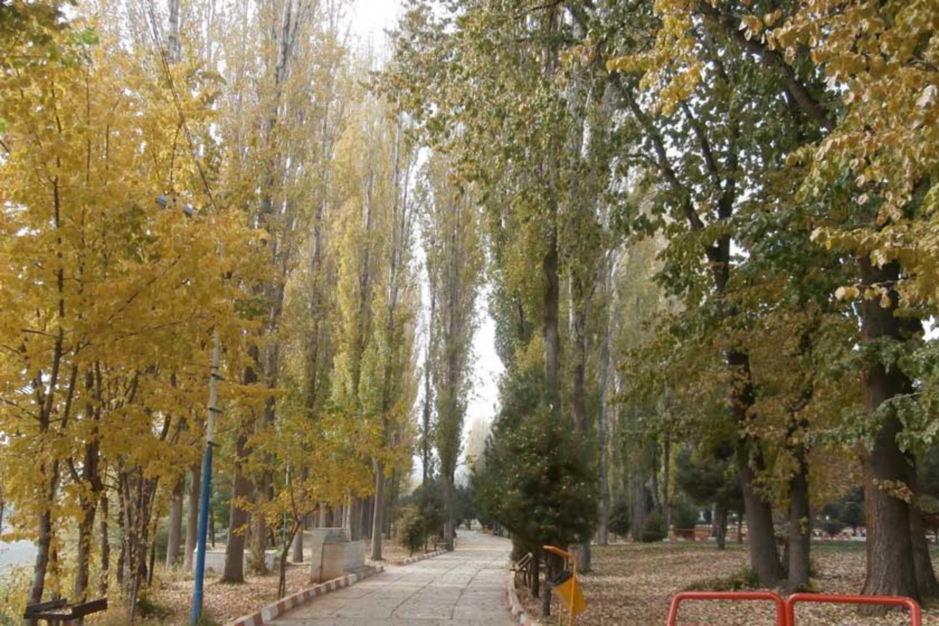 باغ میکاییل