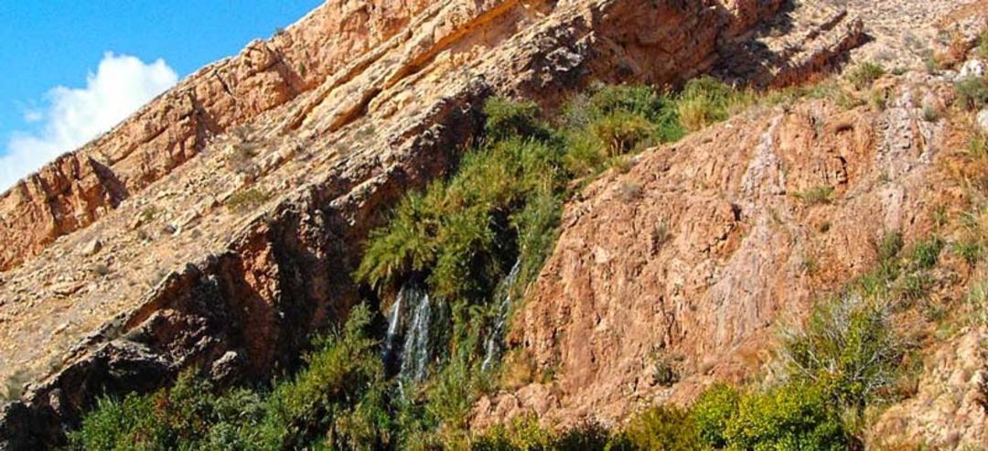 دره آکواریوم