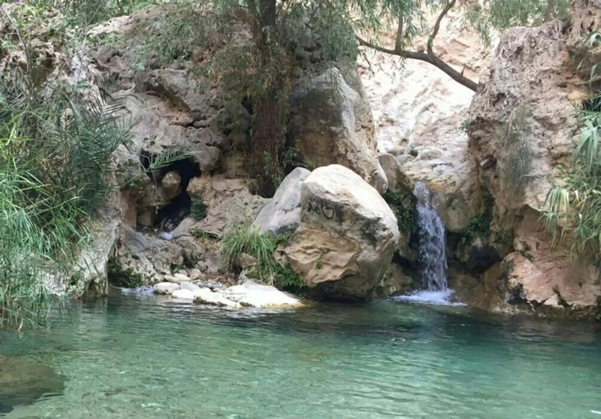 دره آکواریوم