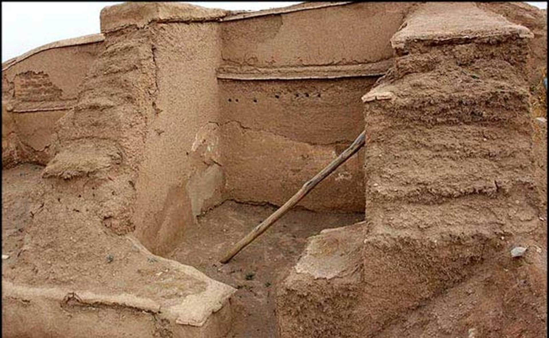 زیویه