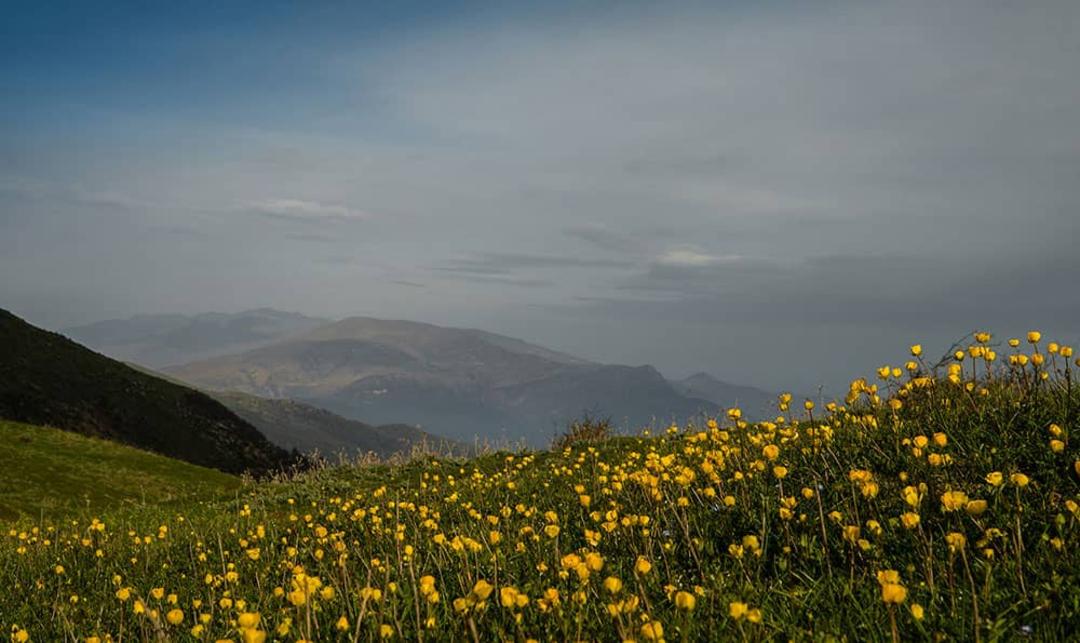 منطقه بندپی مازندران