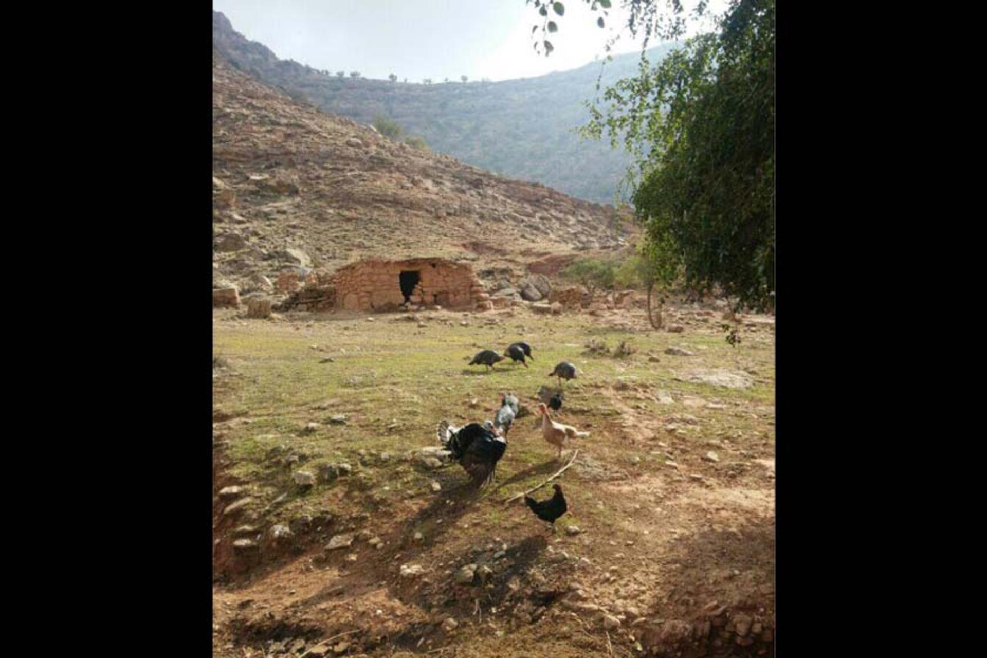 روستای گردشگری دیونی